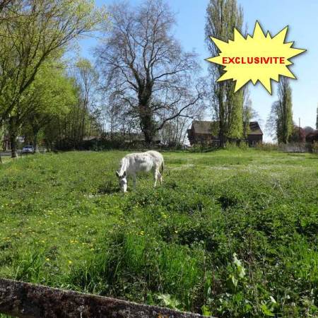 Cliquez pour en savoir plus...