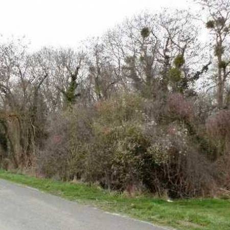 Cliquez pour en savoir plus...